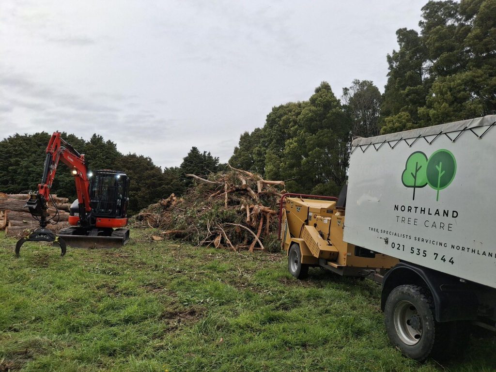 Whangarei Arborist